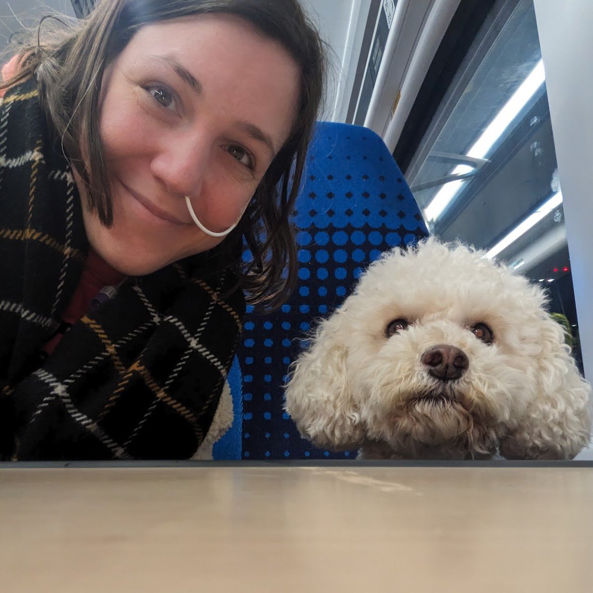 Selfie of a white woman with dark hair and an NJ tube and white toy poodle sitting on a train