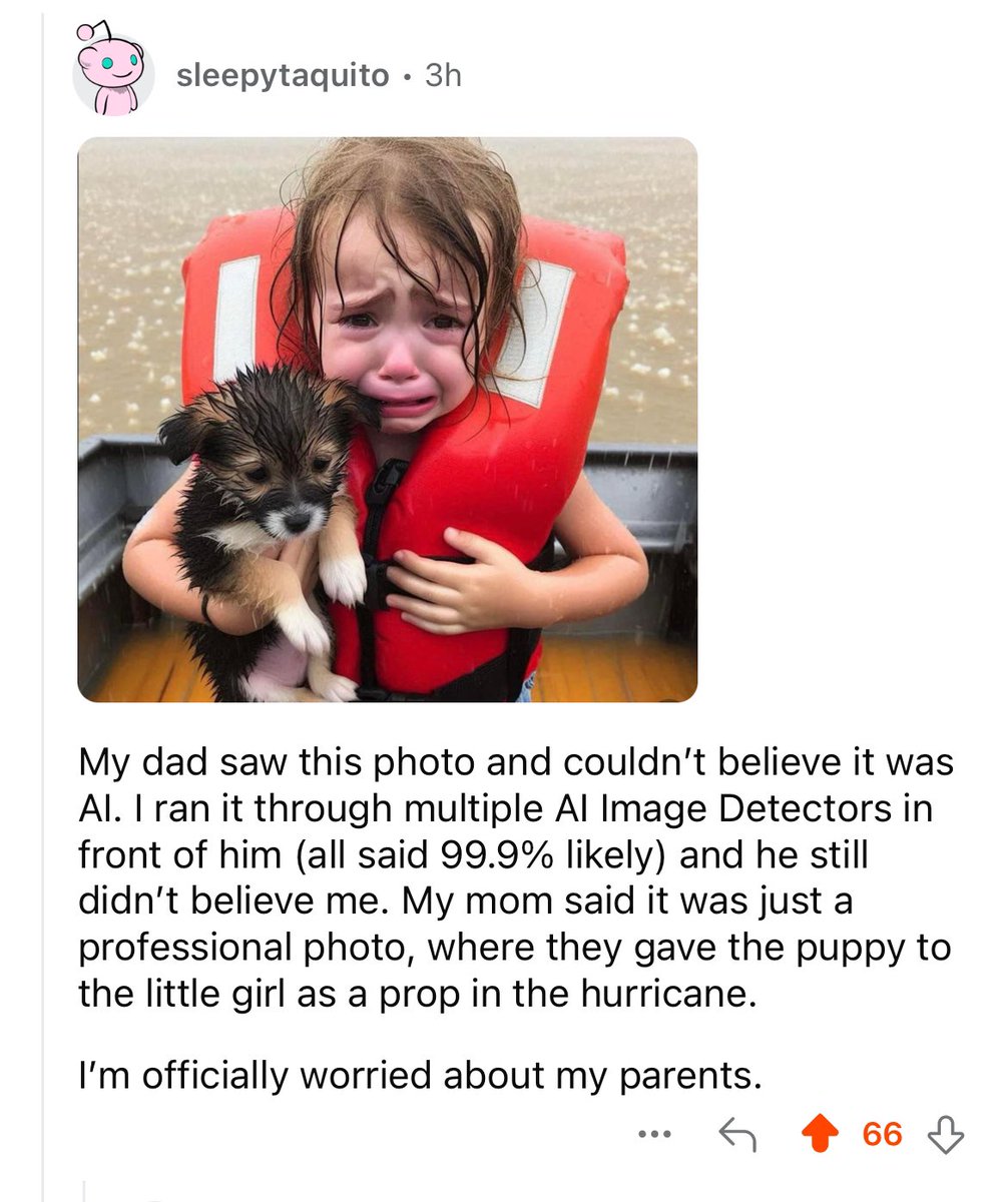 Media attached to this post